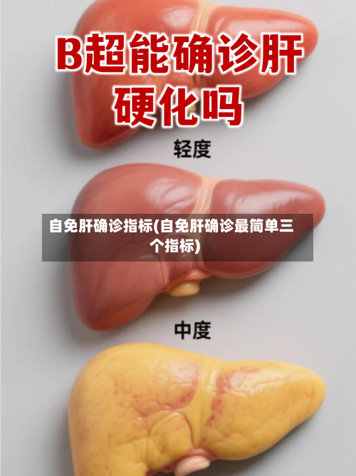 自免肝确诊指标(自免肝确诊最简单三个指标)