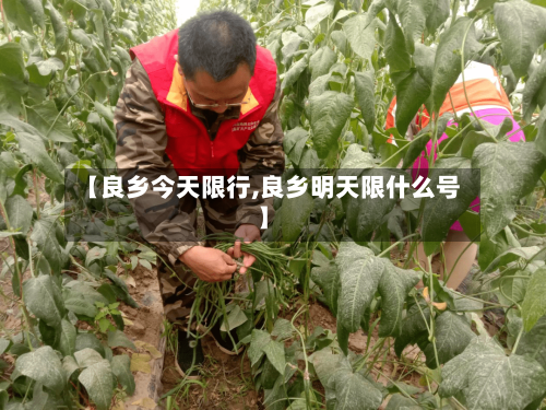 【良乡今天限行,良乡明天限什么号】-第2张图片