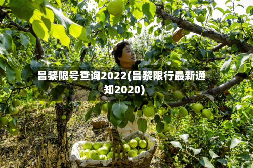 昌黎限号查询2022(昌黎限行最新通知2020)