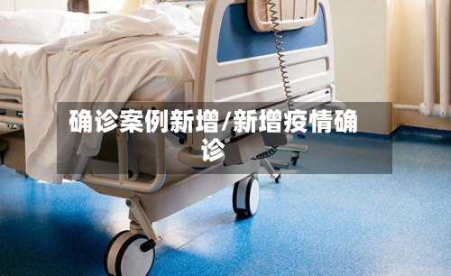 确诊案例新增/新增疫情确诊