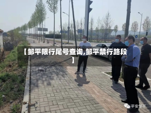 【邹平限行尾号查询,邹平禁行路段】-第2张图片