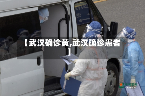 【武汉确诊黄,武汉确诊患者】-第2张图片