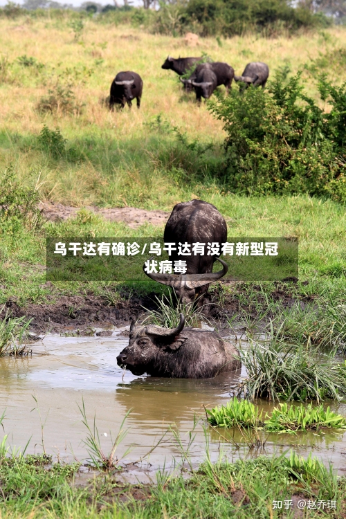 乌干达有确诊/乌干达有没有新型冠状病毒-第2张图片
