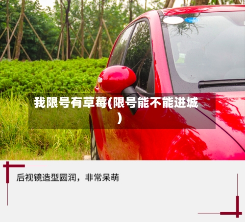 我限号有草莓(限号能不能进城)-第2张图片
