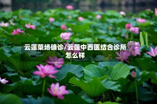 云莲菜场确诊/云莲中西医结合诊所怎么样