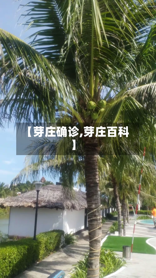【芽庄确诊,芽庄百科】-第2张图片