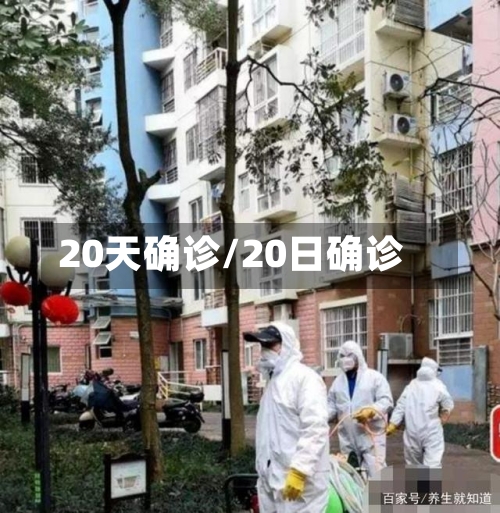 20天确诊/20日确诊