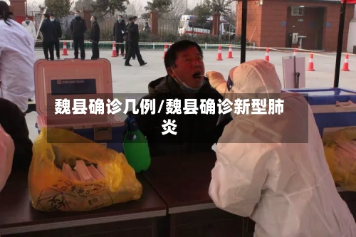 魏县确诊几例/魏县确诊新型肺炎-第2张图片