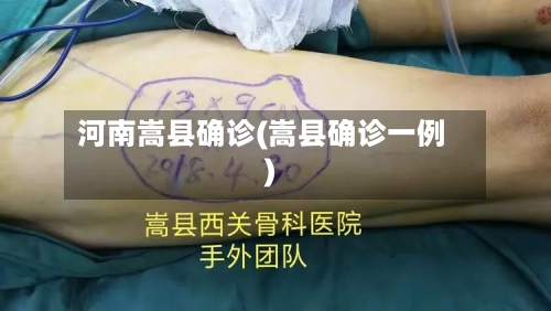 河南嵩县确诊(嵩县确诊一例)-第2张图片