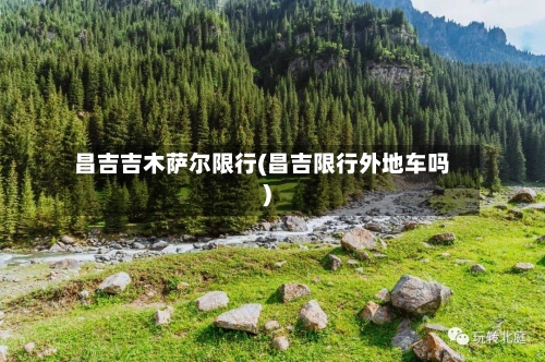 昌吉吉木萨尔限行(昌吉限行外地车吗)-第2张图片