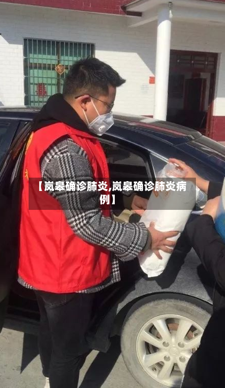 【岚皋确诊肺炎,岚皋确诊肺炎病例】-第3张图片