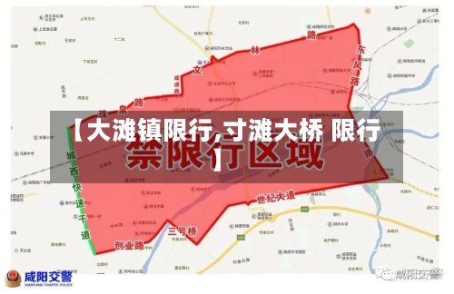 【大滩镇限行,寸滩大桥 限行】