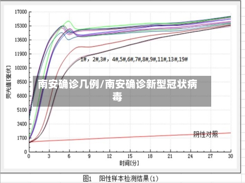 南安确诊几例/南安确诊新型冠状病毒-第2张图片