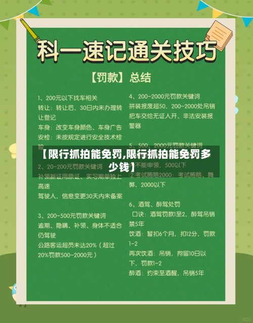 【限行抓拍能免罚,限行抓拍能免罚多少钱】-第3张图片