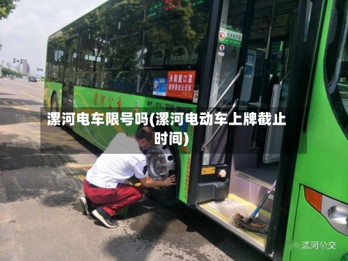 漯河电车限号吗(漯河电动车上牌截止时间)-第2张图片