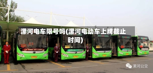 漯河电车限号吗(漯河电动车上牌截止时间)-第3张图片