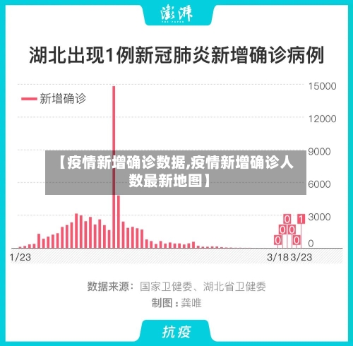 【疫情新增确诊数据,疫情新增确诊人数最新地图】-第2张图片
