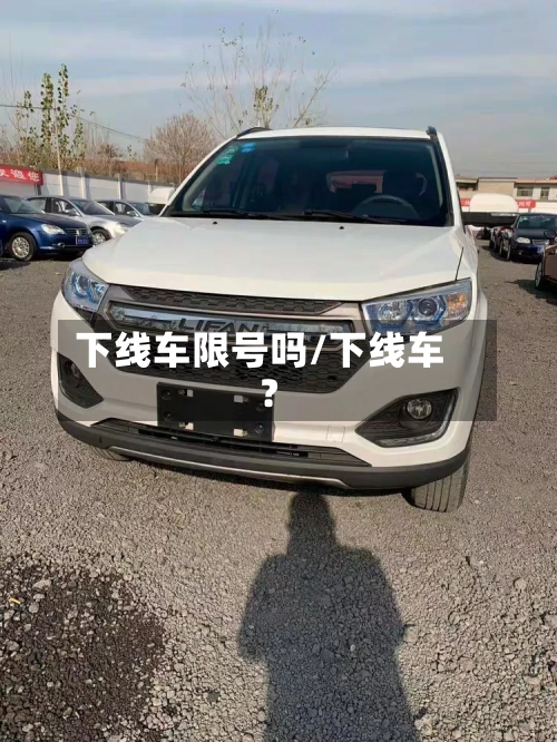 下线车限号吗/下线车?-第2张图片