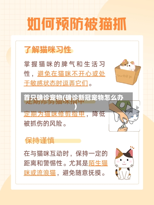 首只确诊宠物(确诊新冠宠物怎么办)