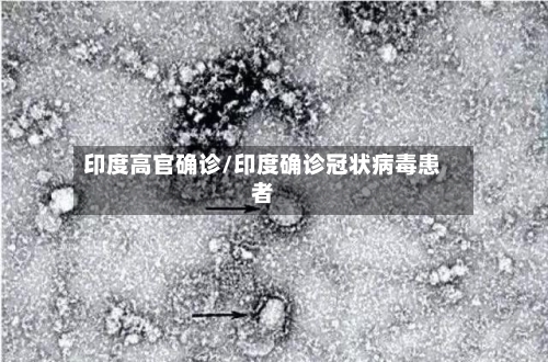 印度高官确诊/印度确诊冠状病毒患者