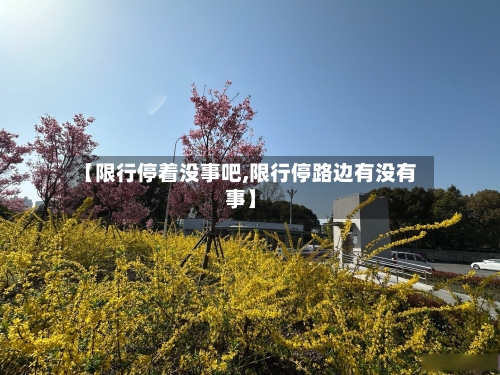 【限行停着没事吧,限行停路边有没有事】