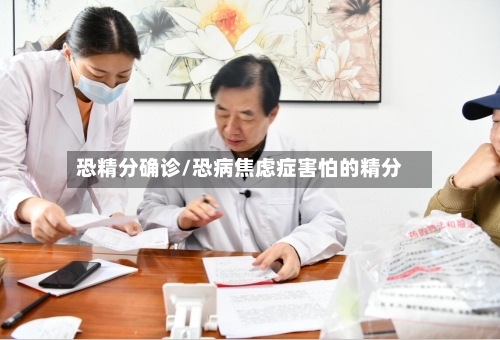 恐精分确诊/恐病焦虑症害怕的精分-第2张图片