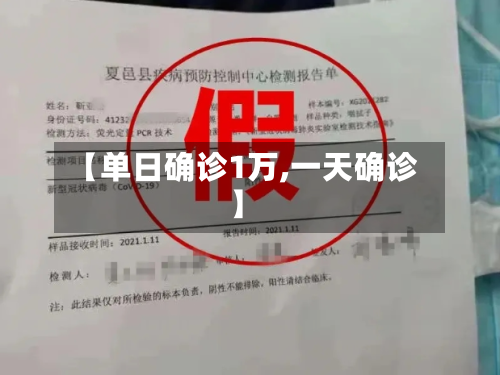 【单日确诊1万,一天确诊】