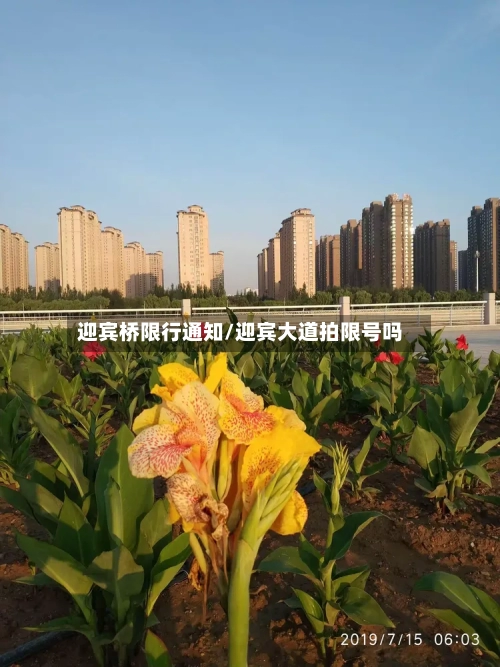迎宾桥限行通知/迎宾大道拍限号吗