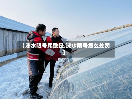【涞水限号尾数是,涞水限号怎么处罚】-第3张图片