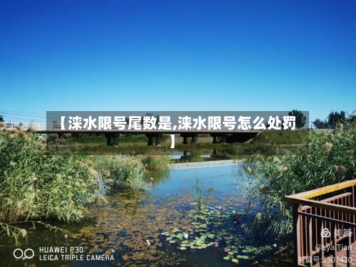 【涞水限号尾数是,涞水限号怎么处罚】-第2张图片