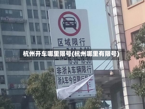 杭州开车哪里限号(杭州哪里有限号)-第3张图片