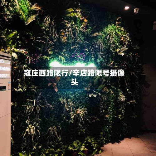 寇庄西路限行/辛店路限号摄像头
