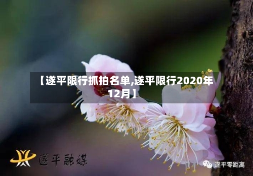 【遂平限行抓拍名单,遂平限行2020年12月】