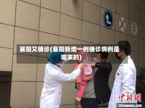 襄阳又确诊(襄阳新增一例确诊病例是哪来的)-第2张图片