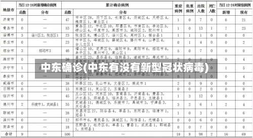 中东确诊(中东有没有新型冠状病毒)-第3张图片