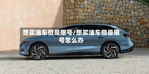 想买油车但是限号/想买油车但是限号怎么办-第2张图片