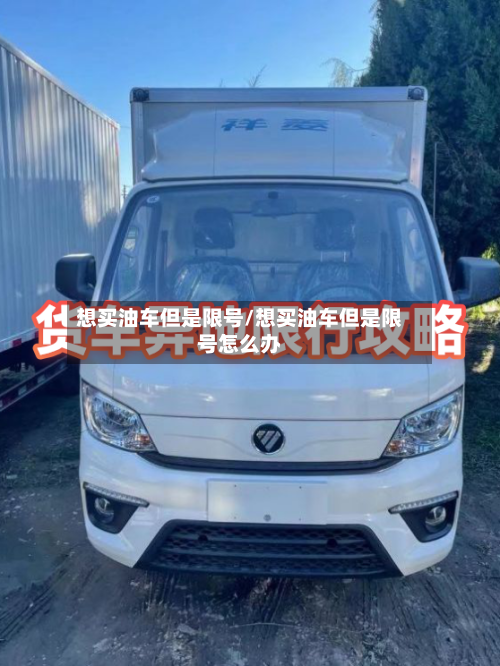 想买油车但是限号/想买油车但是限号怎么办