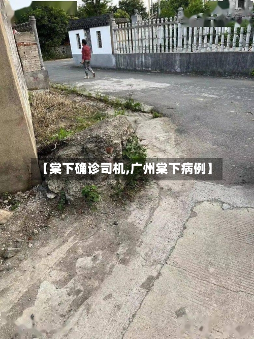 【棠下确诊司机,广州棠下病例】-第2张图片