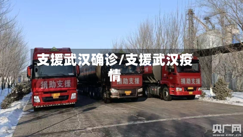 支援武汉确诊/支援武汉疫情