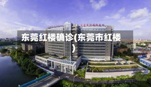 东莞红楼确诊(东莞市红楼)