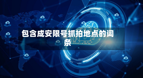 包含成安限号抓拍地点的词条