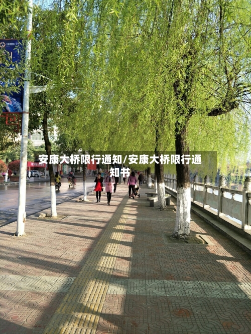 安康大桥限行通知/安康大桥限行通知书-第2张图片