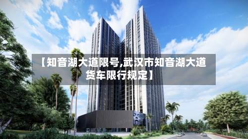 【知音湖大道限号,武汉市知音湖大道货车限行规定】-第2张图片