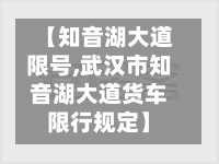 【知音湖大道限号,武汉市知音湖大道货车限行规定】