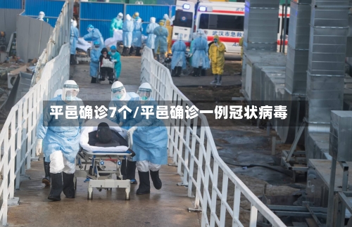 平邑确诊7个/平邑确诊一例冠状病毒-第3张图片