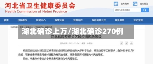 湖北确诊上万/湖北确诊270例-第3张图片
