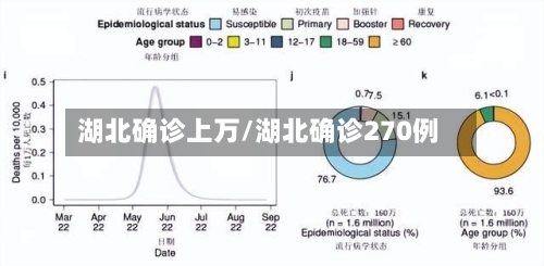 湖北确诊上万/湖北确诊270例