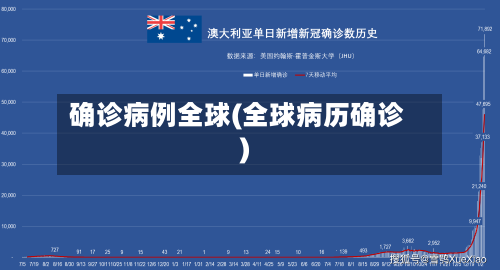 确诊病例全球(全球病历确诊)-第2张图片