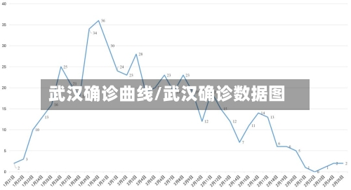 武汉确诊曲线/武汉确诊数据图