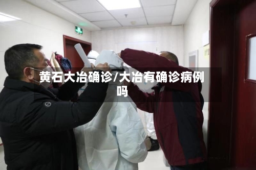 黄石大冶确诊/大冶有确诊病例吗-第2张图片